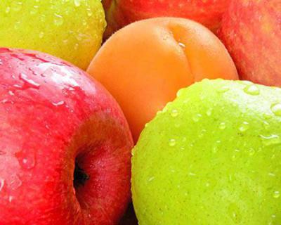 蘋果、梨加工生產線